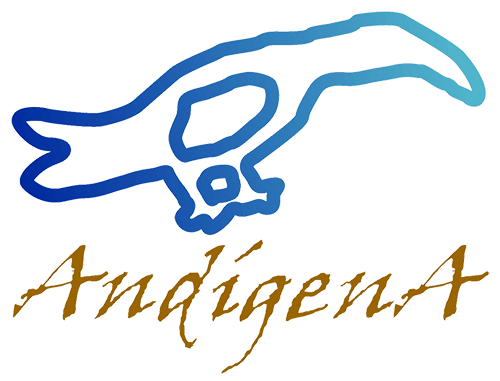 Fundación AndígenA